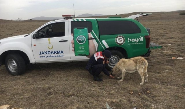 Jandarma ekipleri kırsaldaki hayvanları unutmadı