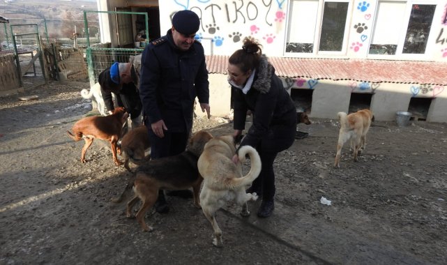 Jandarma ekipleri soğuk kış gününde sokak hayvanlarını besledi