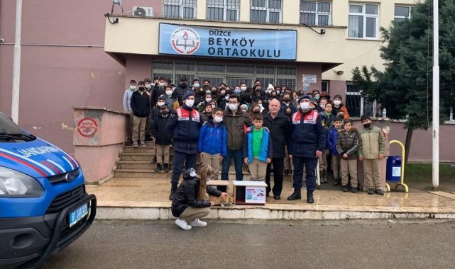 Jandarma ekipleri ve öğrenciler sokak hayvanları için seferber oldu