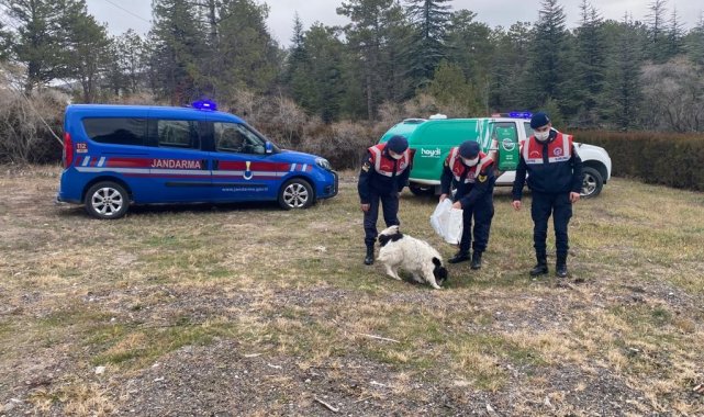 Jandarma ekiplerinden örnek davranış