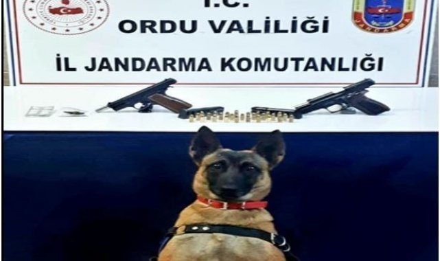 Jandarma ekiplerinden uyuşturucu operasyonu: 2 gözaltı