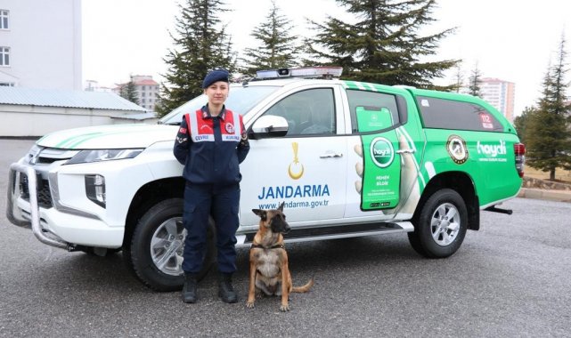 Jandarma hayvan koruma timi görev başında