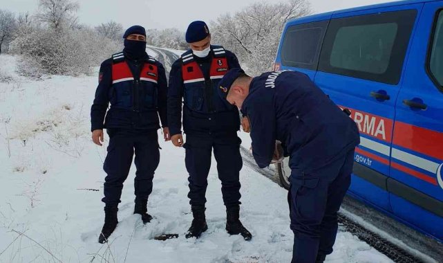 Jandarma sokak hayvanlarını unutmadı