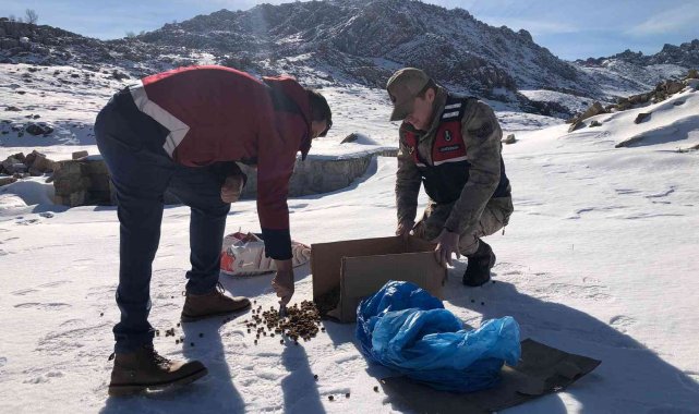 Jandarma yaban hayvanlarını unutmadı