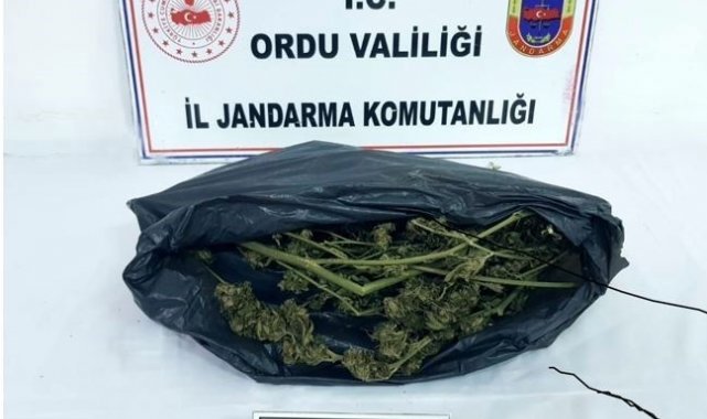 Jandarmadan uyuşturucu operasyonu: 4 gözaltı
