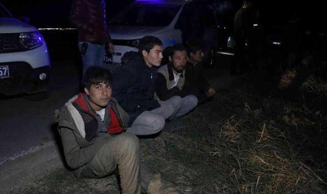 Kaçak göçmen taşıyan minibüs polisten kaçarken pamuk tarlasına devrildi