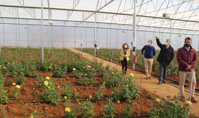 Kadın girişimci devlet desteğiyle kurduğu sera ile örnek oldu