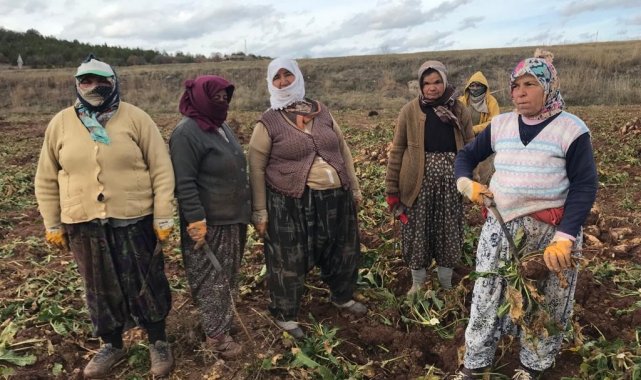 Kadın tarım işçilerinin zorlu mesaisi