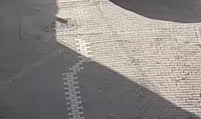 Kadına önce küfür etti, sonra tokatladı, o anlar kamerada