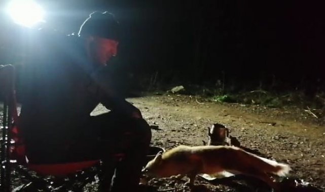 Kamp atıp piknik yaparken yanlarına yanaşan Tilkiyi elleriyle beslediler