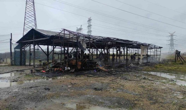 Kampüs civarındaki işletmede patlayan tüp panik oluşturdu