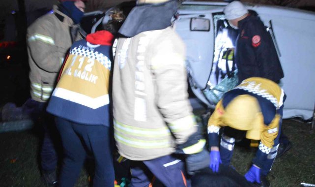 Kamyonet elektrik direğine çarptı: 1 yaralı