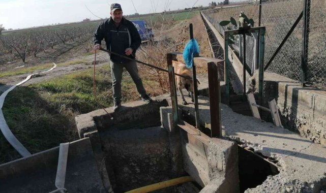 Kanala düşen köpeği belediye kurtardı