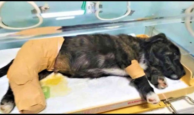 Kaporta ustasından 'insanlık ölmemiş' dedirten davranış