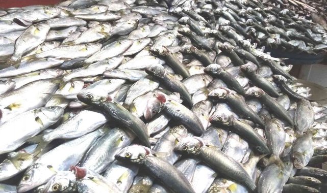 Kar çinekop getirdi