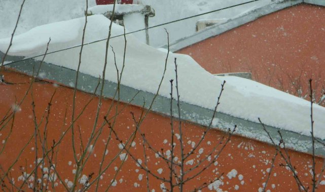 Kar Posof'ta okulları ve yolları kapattı