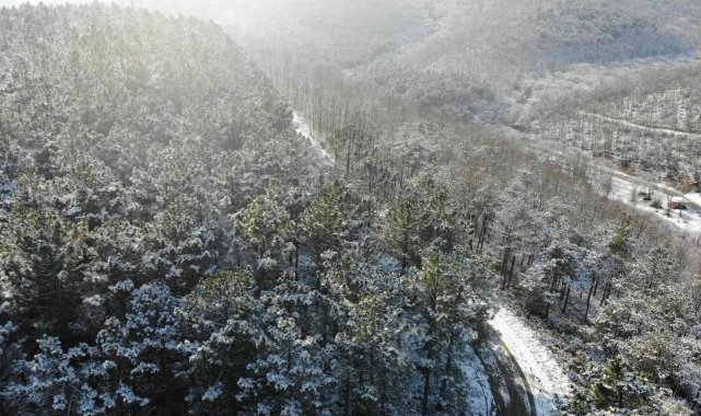 Kar sonrası, Kemerburgaz Ormanları'nda masalsı görüntüler