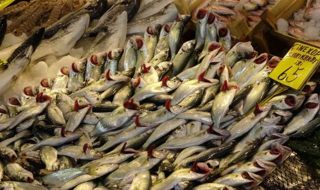 Kar yağdı, fiyatı 65 liraya geriledi