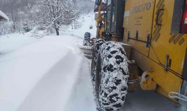 Kar yağışı ulaşımı etkiledi