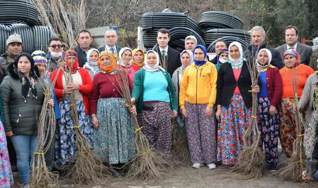 Karacasu ve Çine'deki orman yangınlarının yaraları sarılıyor