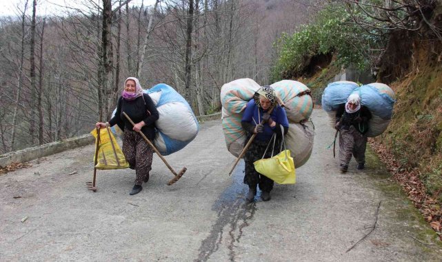 Karadeniz kadınının kuru yaprak mesaisi