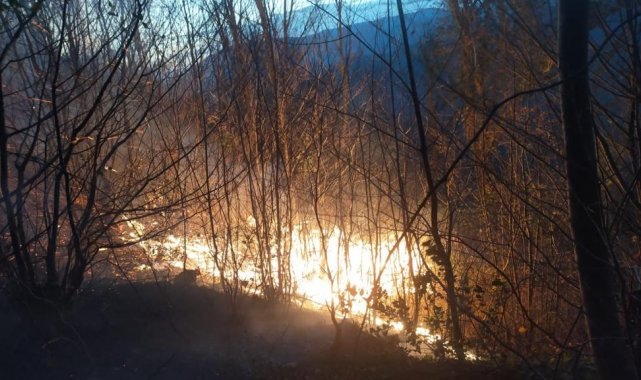 Karadeniz'de orman ve bahçe yangınlarına dikkat
