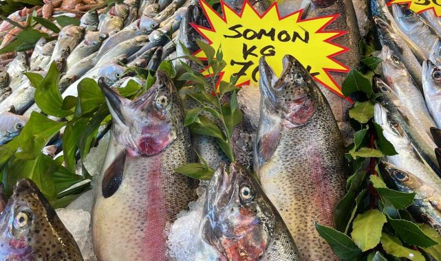 Karadeniz&#039;in yerli somonu Norveç&#039;e rakip