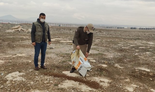 Karaman&#039;da sokak hayvanlarına yem bırakıldı