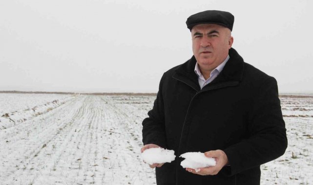 Karaman&#039;da son yağışlar çiftçiyi sevindirdi