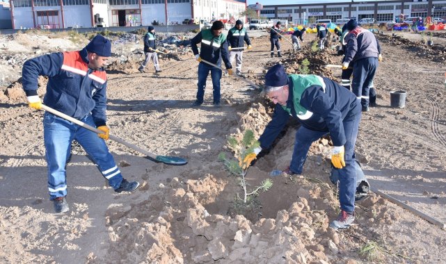 Karatay Belediyesinden ilçeye 2021'de 213 bin 162 fidan ve bitki