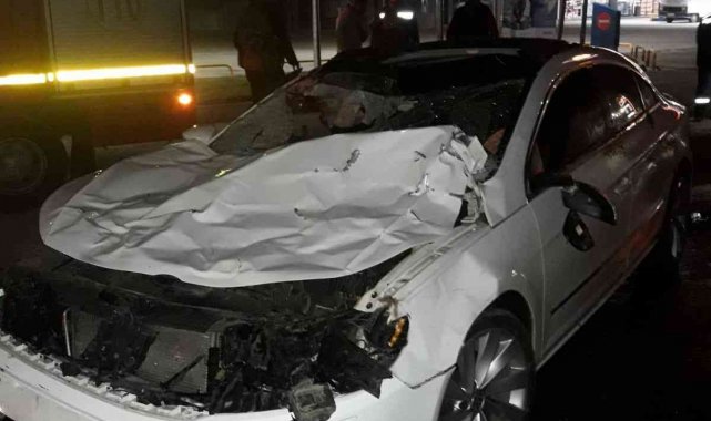 Karayolundaki başı boş atlar kazaya neden oldu