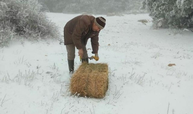 Karla kaplanan Spil'de yılkı atları unutulmadı