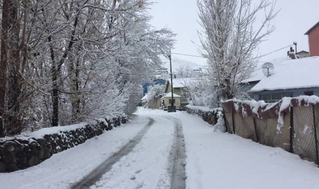 Karlıova kara teslim