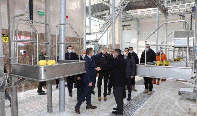 Kars'ta Modern Besi Çiftliği ve Kesimhane tamamlanıyor