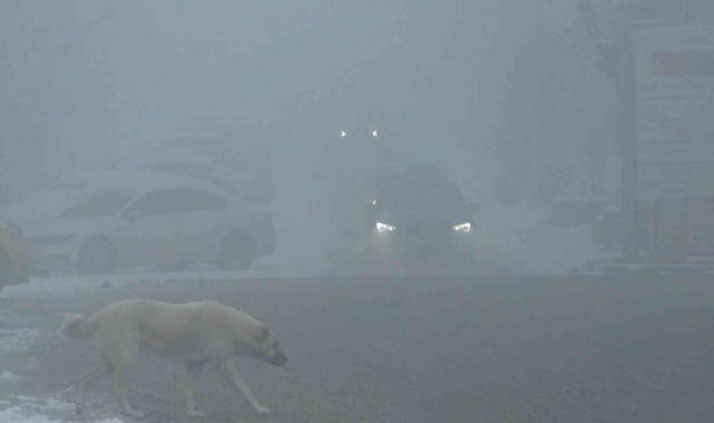 Kars'ta ulaşıma sis engeli