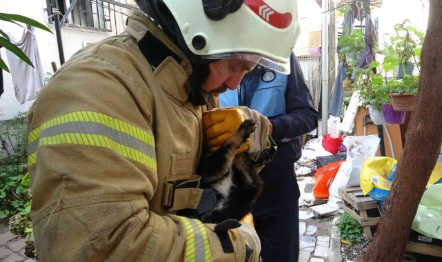 Kartal&#039;da yanan evdeki köpek ve kediler son anda kurtarıldı