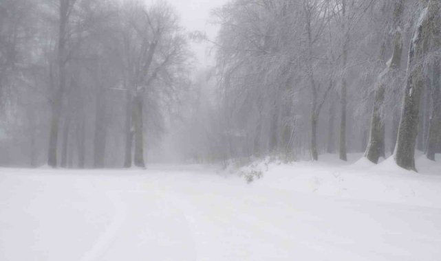 Kartepe'de yoğun kar yağışı başladı