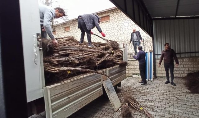 Kastamonu&#039;da selzede çiftçilere fidan desteği