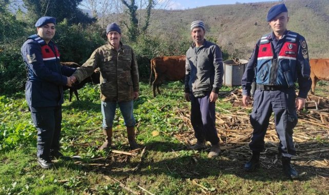 Kaybolan hayvanlar 2 gün sonra ormanda bulundu