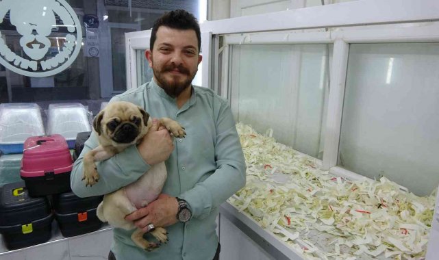 Kayıt dışı hayvan üretiminde şifreli satış: &#039;Gelin arıyoruz&#039;, &#039;damat arıyoruz&#039;