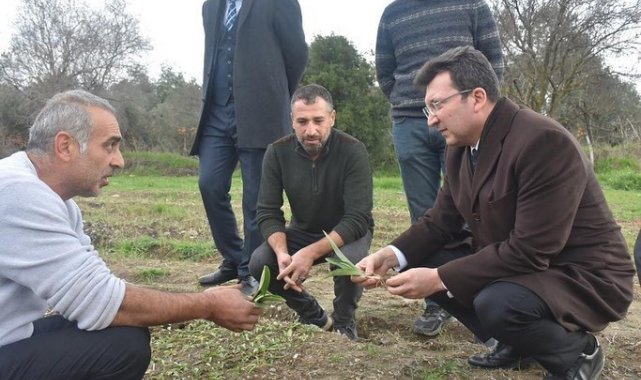 Kaymakam Şahin, &quot;Salep üretimi konusunda çalışıyoruz&quot;