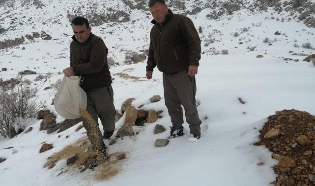 Kayseri&#039;de yaban hayatına destek