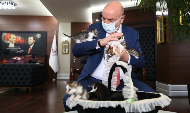 Keçiören Belediyesi'nin "Ailem Olur musun?" projesi hayvanlara sıcak yuva buluyor