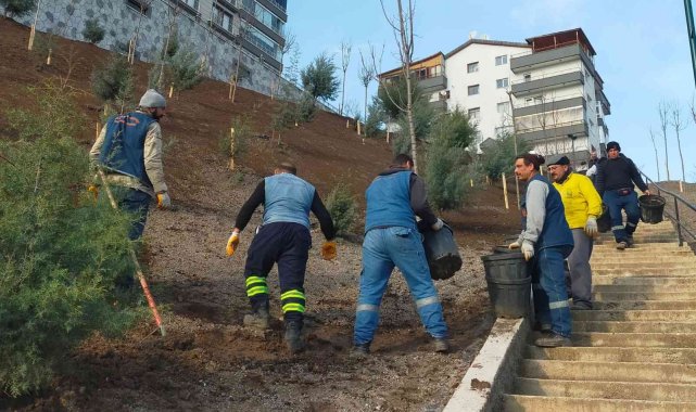 Keçiören&#039;de ağaçlandırma seferberliği