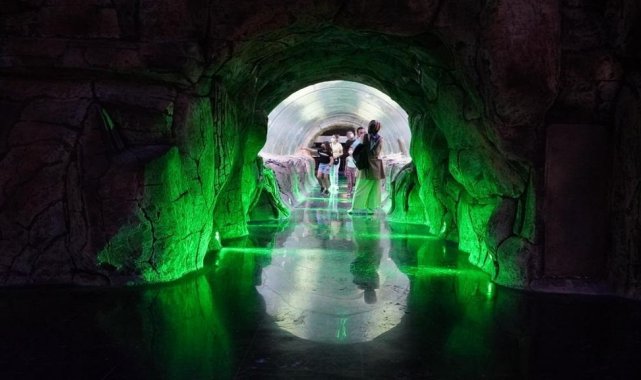 Keçiören&#039;de öğrenciler su altı canlılarını Deniz Dünyası&#039;nda öğreniyor