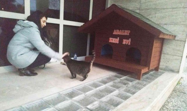 Kedi Adalet Muğla Adliyesinin maskotu oldu