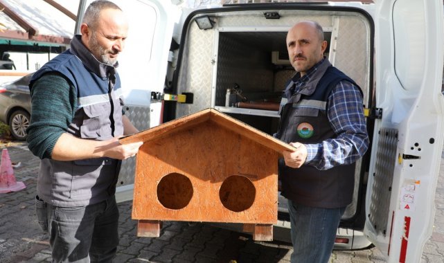 Kedi Evi projesi İlkadım'da hayat buldu