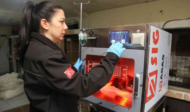 Kedi ve köpekler için yoğun bakım üniteleri hayata geçti