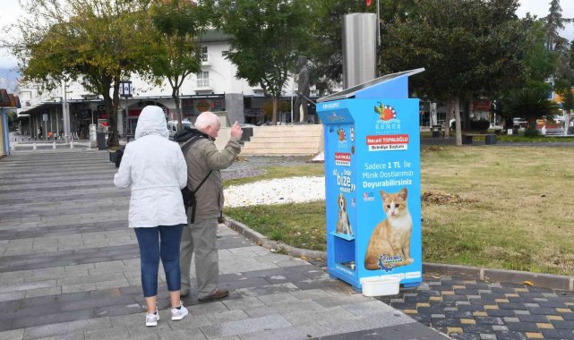 Kemer'de 17 bin 194 sokak hayvanı beslendi