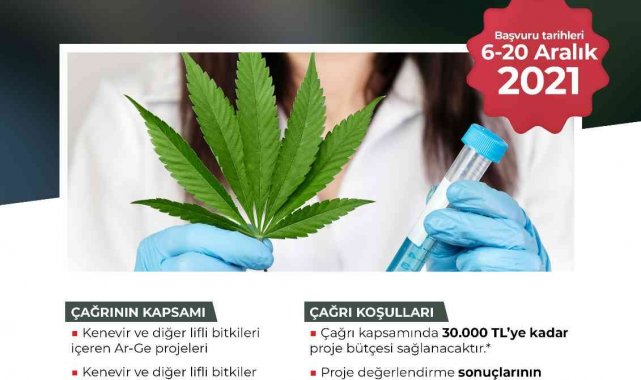 Kenevir için proje çağrısı